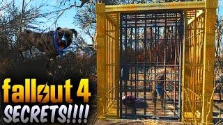 Fallout 4 Secrets - Secret Caged Dog That Leads You To a Secret Trader! (Fallout 4 Things To Know)