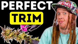 How To Trim Buds Like A Pro