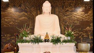 Buổi học Phật pháp phổ thông, 7/02/2024, do TT- Thích Tâm Chánh, trên online Webex.