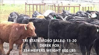 TRI STATE VIDEO SALE 3-13-20 @ 1PM