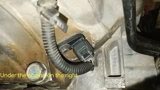 Crankshaft sensor location (Nissan petrol)