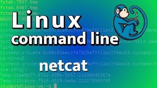 LCL 24 - netcat tutorial - Linux Command Line tutorial for forensics