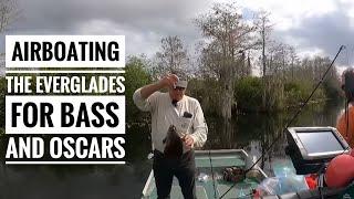 Air boating the Everglades for bass and oscars