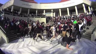 Robert College Harlem Shake