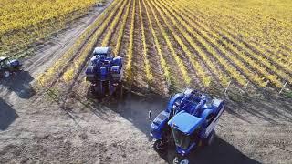 New Holland 9090X Grape Harvesters