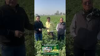 Results of SUPER KAVACH,  MICRO AVATAR, #farming #farmingchallenge #agriculture #kheti #empower