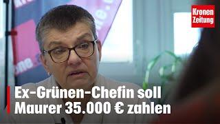 Wegen brisantem Foto: Ex-Grünen-Chefin soll Maurer 35.000 € zahlen | krone.tv NEWS