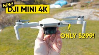 DJI’s Cheapest 4K Drone - DJI Mini 4K, Just Cheap or Worth Buying? (HONEST REVIEW)