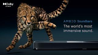 AMBEO Soundbars: The World's Most Immersive Sound | Sennheiser