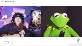 Kermit Goes on Omegle