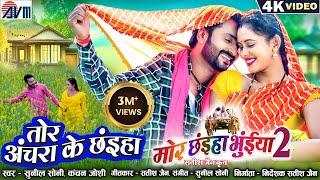 Mor Chhaiya Bhuiya 2 | Cg Movie Song | Tor Achara Ke Chhaiya | Chhattisgarhi Gana | Man Diksha | AVM