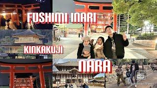 JAPAN VLOGDAY3/OSAKA /FUSHIMI INARI/NARA KOEN/KINKAKUJI/MARIKO MEI ENRIQUEZ