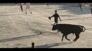 Señor de Cuasimodo 2024 - Corrida de Toro