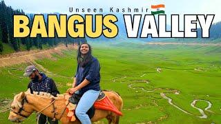 Life near India Pakistan Border in Kashmir I Bangus Valley Vlog I Kashmir Tourist Places I