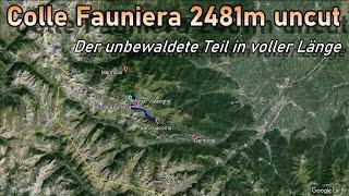 Über den Colle Fauniera 2481m uncut, der unbewaldete Teil in Originallänge #bikelife #mountains