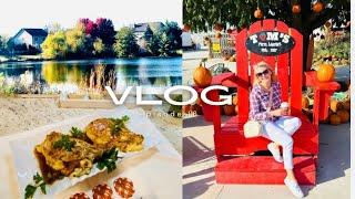 October VLOG Куряче філе з сиром брі та яблукамиЗнову на гарбузовій фермі Осіння прогулянка 