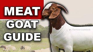MEAT GOAT FARMING FOR BEGINNERS | Ranching for Profit Grazing How to Raise Goats on Pasture