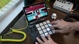 The Best Beatmakers Mobile Production App: Koala and TempoPAD P16 Beginner's Tutorial