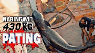 ISA SA PINAKAMALAKING PATING NABINGWIT | MONSTER BULL SHARK CAUGTH | Divertech tv