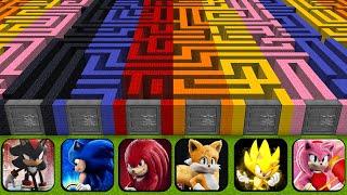 WHAT INSIDE MAZE SONIC! SHADOW SONIC! SUPER SONIC! AMY ROSE! KNUCKLES! TAILS in MINECRAFT