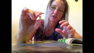 How to fill dōTERRA veggie caps with essential oils