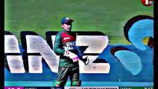 Taskin Ahmed bowling vs New Zealand