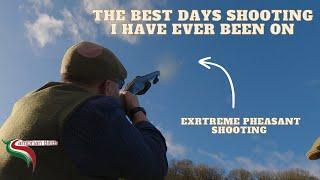 The Best Days Wing Shooting Ever | Extreme Pheasant Shooting | Dyfi Falls, Cambrian Birds