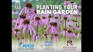 Planting Your Rain Garden