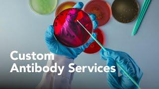 R&D Systems Custom Antibody Generation Services - Bio-Techne