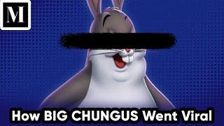 How BIG CHUNGUS went viral is WEIRDER than you think.