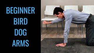 Beginner bird dog exercise arms only by chiropractor in Toronto Dr. Byron Mackay