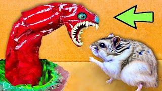  Hamster Escape: Monster Maze - Cute Hamster pets Maze #hamsterescape #mazediytraps