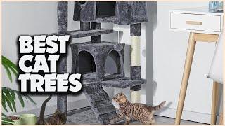 The 5 Best Cat Trees, With Expert Insight