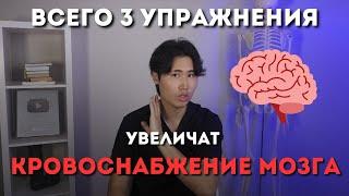 Увеличь кровоснабжение мозга. Зрение четче, слух острее, ясная голова, хорошая память.