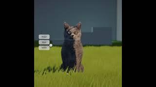 Customizable Kitty (Test Game Project)