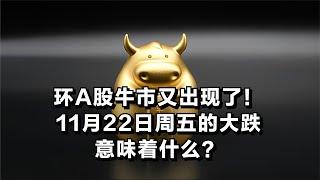 环A股牛市又出现了！11月22日周五的大跌意味着什么？