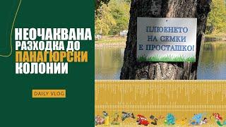 РАЗХОДКА ДО ПАНАГЮРСКИ КОЛОНИИ! ВСИЧКИ 180 КНИЖКИ НА ДИСНИ! КОЛЕКЦИЯ!