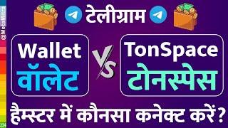 Ton Wallet vs Tonkeeper | Ton Wallet Vs TonSpace | हैम्स्टर में कौनसा कनेक्ट करें?  Ton space