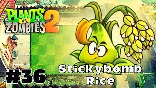 Stickybomb Rice Review! - Plants vs Zombies 2 PvZ 2