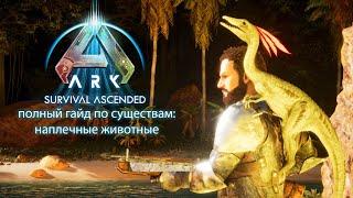 Полный гайд по наплечным животным в ARK: Survival Ascended