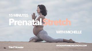 15-Minute Third Trimester Yoga Stretch | Prenatal Yoga for Pregnancy Relief ‍️