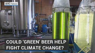 Green beer? Brewing up new solutions to climate change