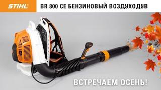 STIHL BR 800 C-E / Обзор воздуходувки бензиновой ранцевой / Купи на Дачу