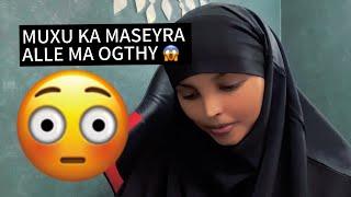 MASEYRKA ALLE: . ka fogow intan ku shegay