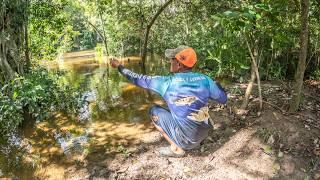 Pesca Y Cocina con anzuelo y lombrices, recorriendo el rio.