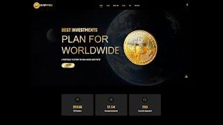 HYIP PRO - Start your own HYIP investment Website platform (Gold Black)