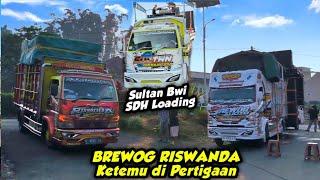 BREWOG AUDIO BERTEMU RISWANDA DIPERTIGAAN‼️SULTAN BANYUWANGI SDH LOADING KARNAVAL TAWANGSARI PUJON