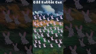 Odd Rabbit Out | Find Out Ans | #shorts #shortsfeed