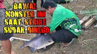 PANTANG PULANG JIKA BAWAL MONSTER TAK TERLENTANG!! - MANCING BAWAL MONSTER 14 KILO