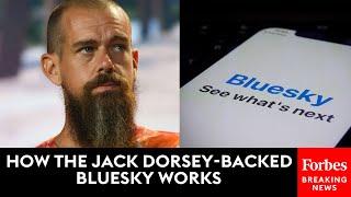 How The Jack Dorsey-Backed Bluesky Works